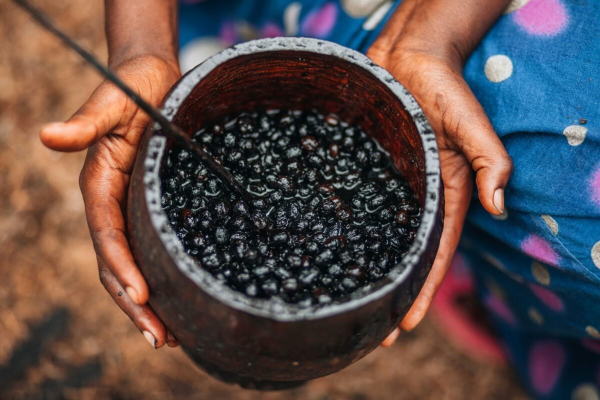 Bowl of Acai Berries