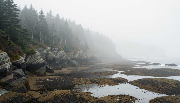 Acadia National Park, Maine