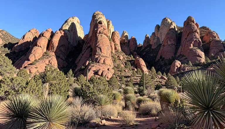 Guadalupe Mountains National Park, Texas