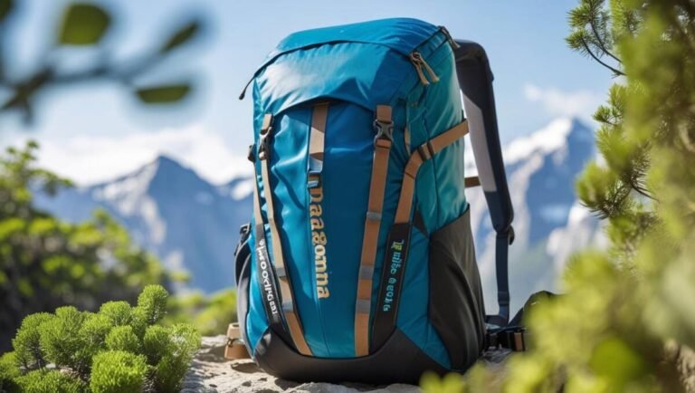 Patagonia Black Hole Pack 32L – Best for Eco Conscious Adventurers