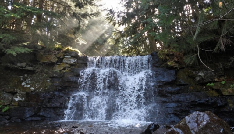 Glenariff Forest Park Waterfall Walk – Northern Ireland