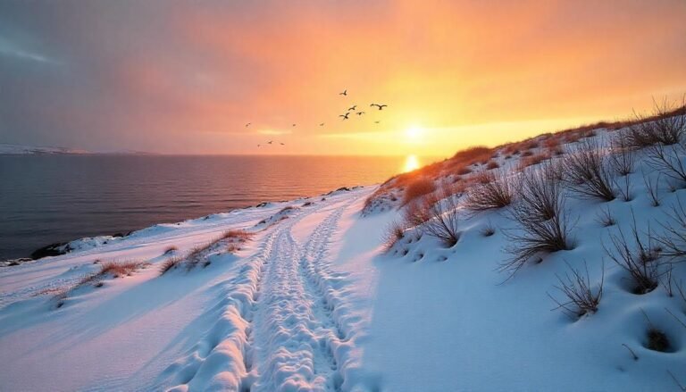 Chanonry Point, Moray Firth (Scotland)