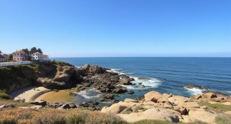 La Jolla Cove, California – Seals & Sea Lions Galore