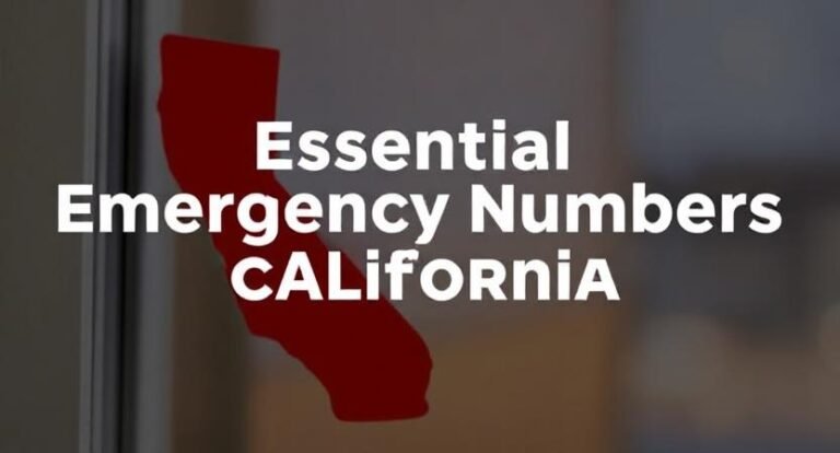 Essential Emergency Numbers in California