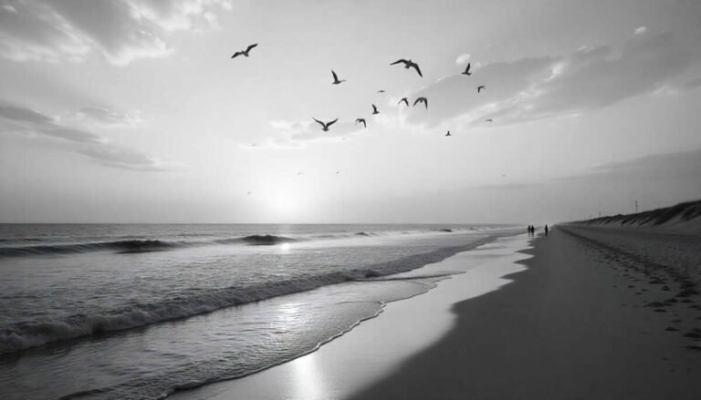 Padre Island National Seashore