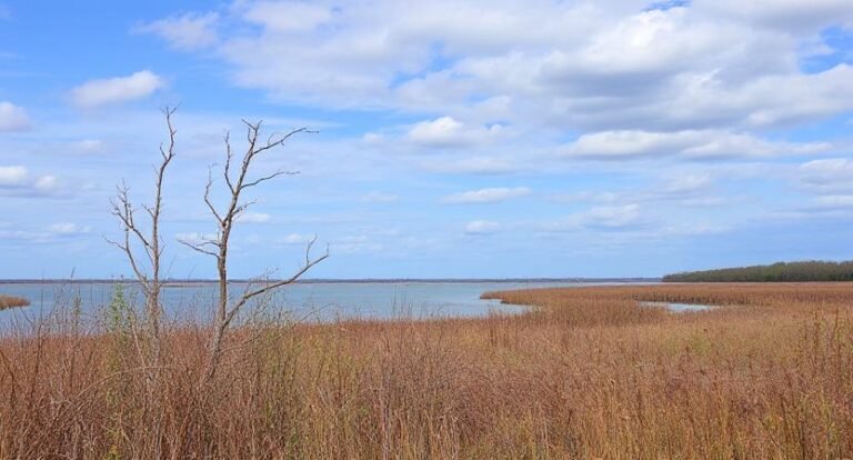 Chautauqua National Wildlife Refuge (South of Peoria)