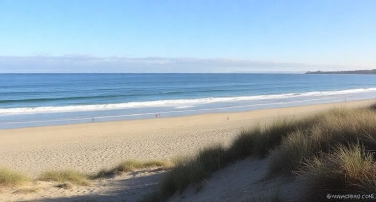 Rosewood Beach – Highland Park