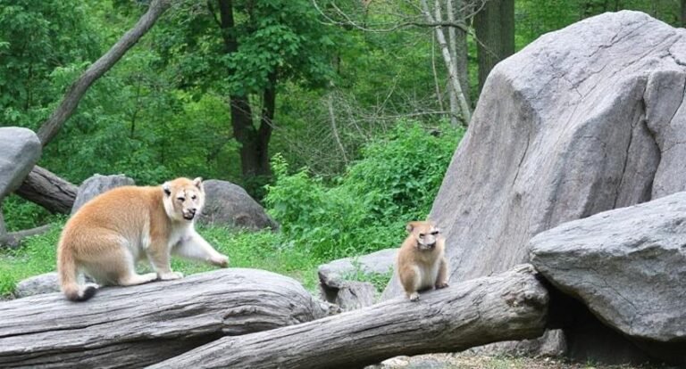 Toronto Zoo – Ontario