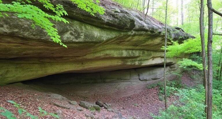 Devil’s Millhopper Geological State Park – Gainesville