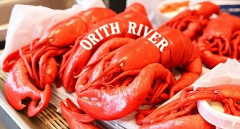 North River Lobster Company – Hudson River