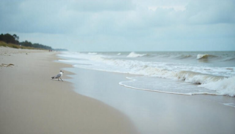 Seadrift Beach – Calhoun County