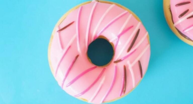 The Donut Experiment – Tampa & Sarasota