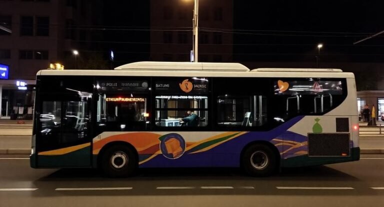 Batumi Public Transport