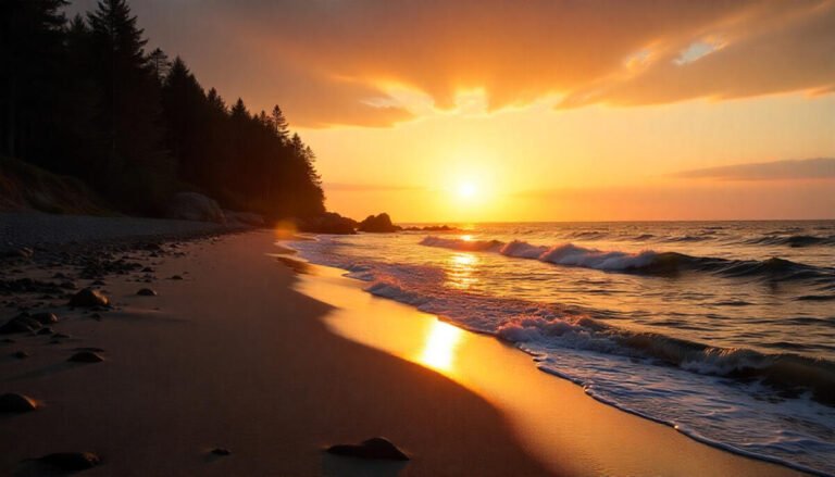 Black Moshannon State Park – Rush Township