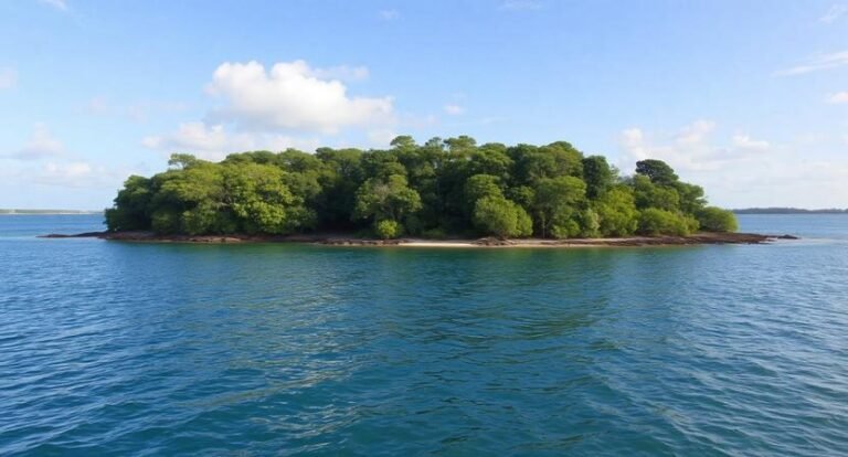 St. Catherines Island – Private Nature Reserve