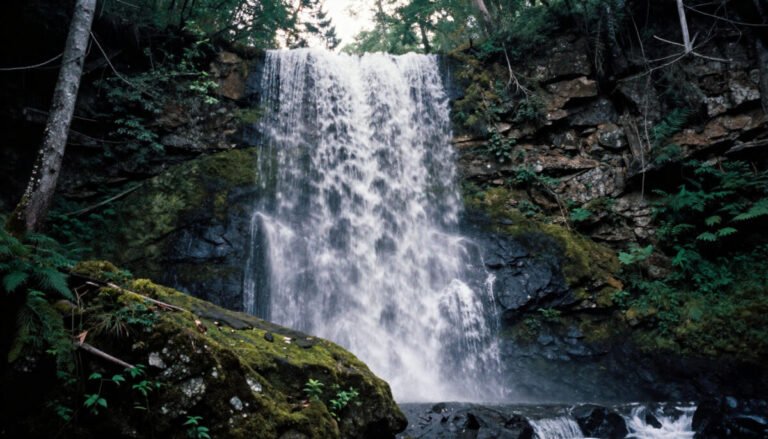Amicalola Falls State Park – Best Waterfall Park