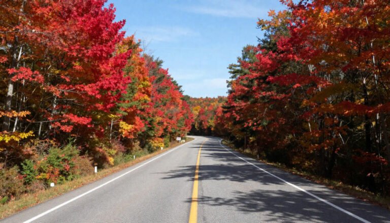 Blue Ridge Parkway – North Carolina’s Ultimate Fall Foliage Route