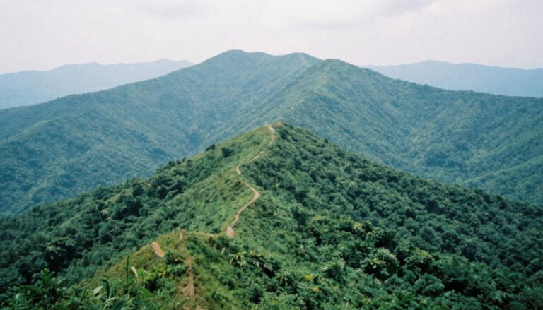 Brasstown Bald – North Georgia Mountains