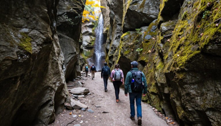 Cloudland Canyon State Park – Best Overall for Hiking