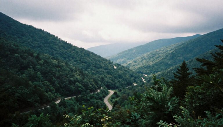 Great Smoky Mountains National Park (NC Side)