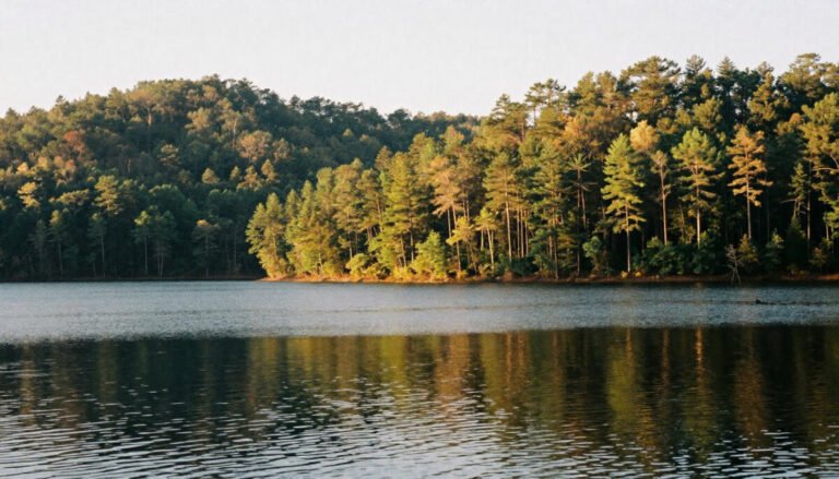 Lake Lanier – Gainesville North Georgia