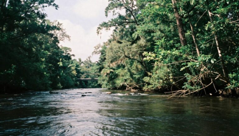 Withlacoochee River — South Georgia’s Hidden Gem