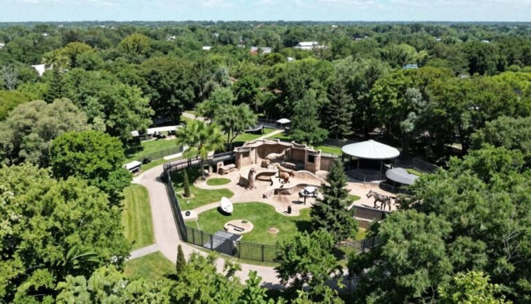 Detroit Zoo (Royal Oak)