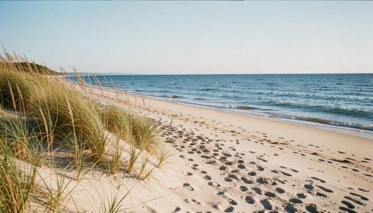 Oval Beach – SaugatuckDouglas, Lake Michigan