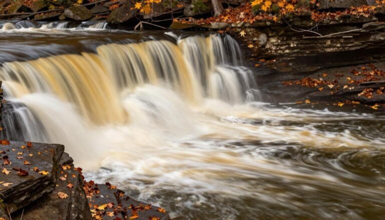 Tahquamenon Falls State Park – Waterfalls Surrounded by Color
