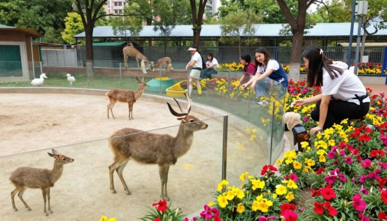 Popcorn Park Animal Refuge — Best Rescue Zoo with Heart