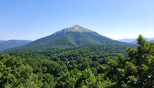 Scenic view of a mountain peak in Virginia with lush greenery and clear sky.