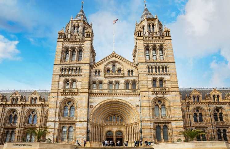 The Natural History Museum