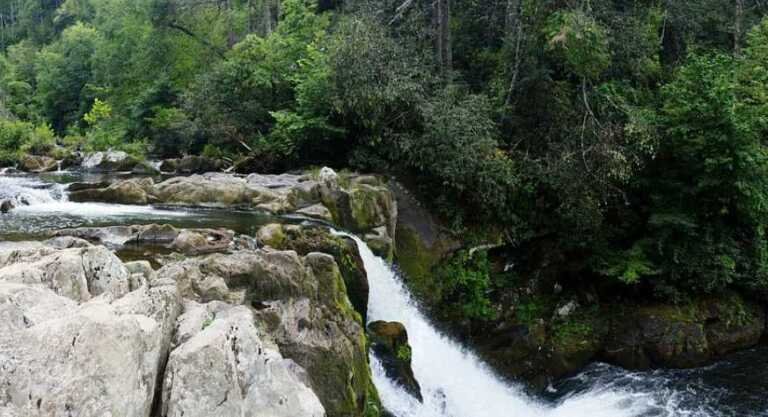 Abrams Falls – A Short Hike with a Powerful Payoff