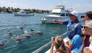 Best Dolphin Cruises and Boat Tours in Destin Florida