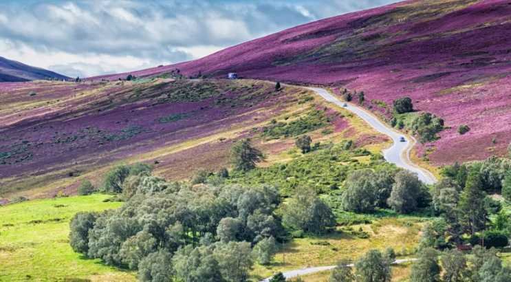 Cairn Gorm (Scotland)