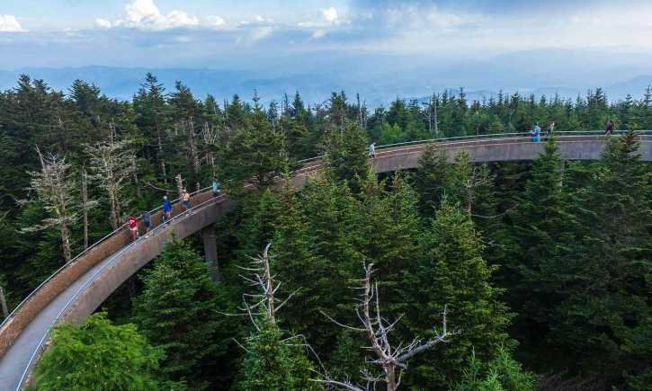 Kuwohi (Clingmans Dome Area Trails) – Beyond the Tower