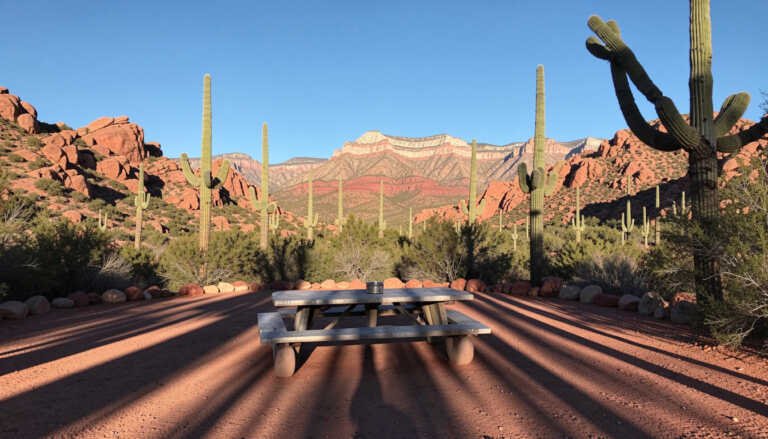 Lost Dutchman State Park (Apache Junction) – Mountain Views & Desert Calm