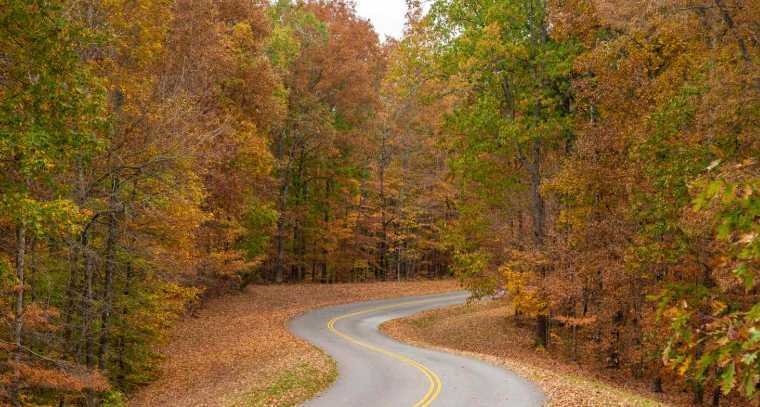 Natchez Trace Parkway (Tennessee Section) – Scenic Road Trip Route