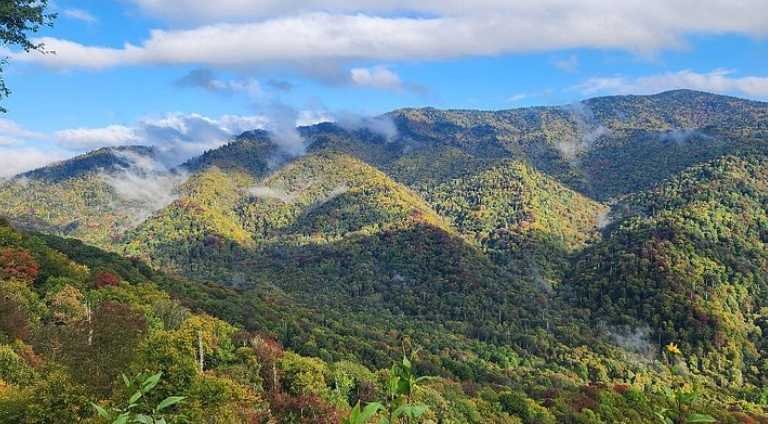 Newfound Gap – Easy Access, Big Views