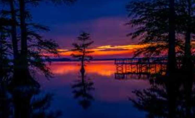 Reelfoot Lake – Unique, Dreamy Sunset Vibes