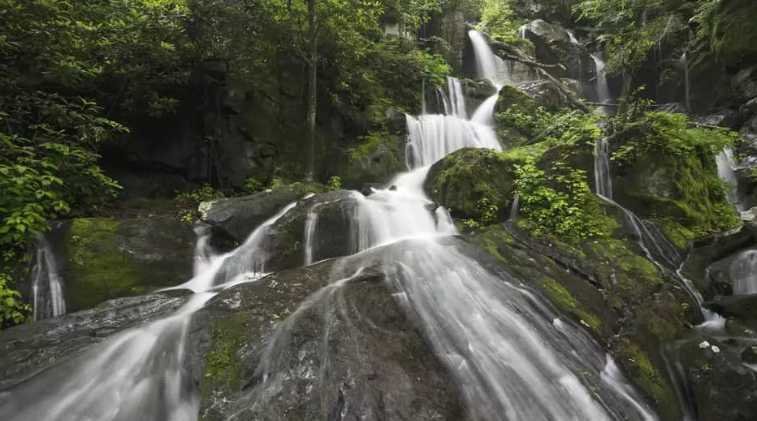 Roaring Fork Motor Nature Trail – A Hidden Gem Near Gatlinburg