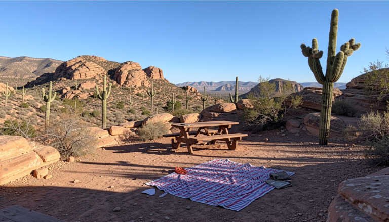 South Mountain Park & Preserve (Phoenix) – Urban Desert Adventure