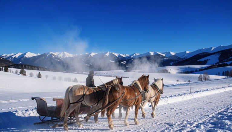 What Makes Sleigh Rides in Stowe Special