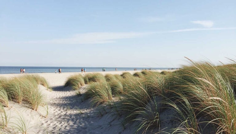 Indiana Dunes State Park Beach
