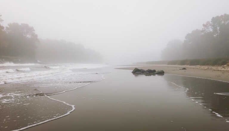 Pomme de Terre State Park Beach – Pittsburg