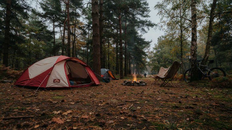 New Forest Campsites, Hampshire