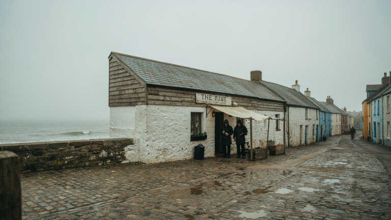 Pine – East Wallhouses, Northumberland