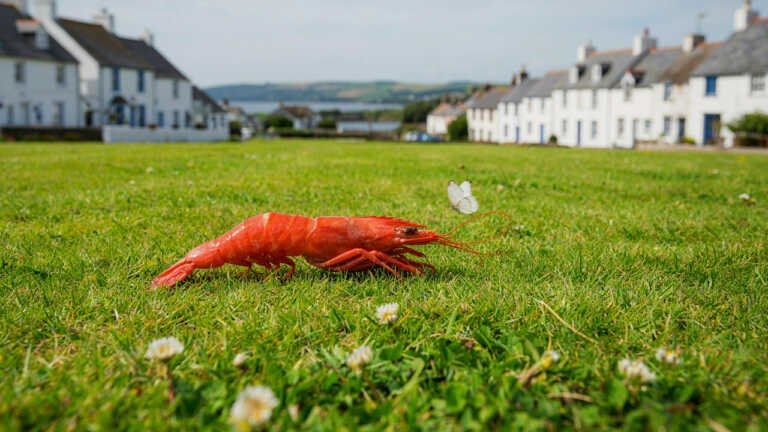 Prawn on the Lawn – Padstow, Cornwall