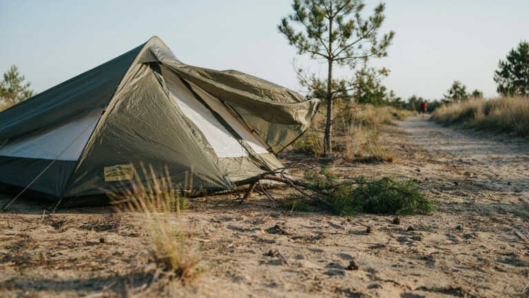 Sherwood Pines Campsite, Nottinghamshire