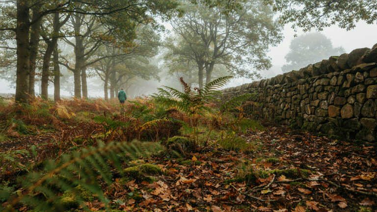 Ashdown Forest – East Sussex